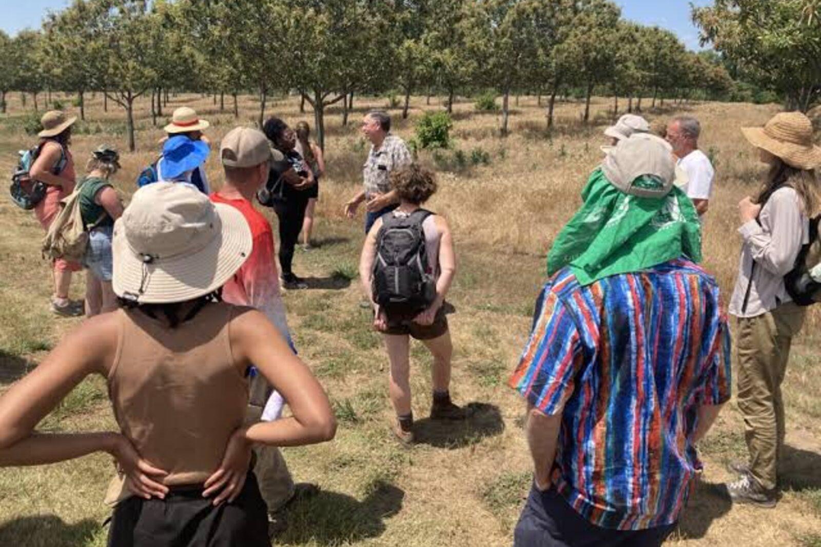 Agroforestry & Water Harvesting Intensive