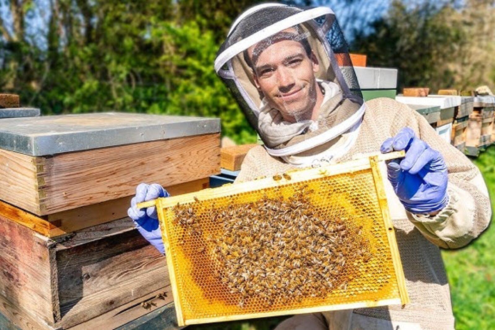 Beekeeping Basics on a Regenerative Farm