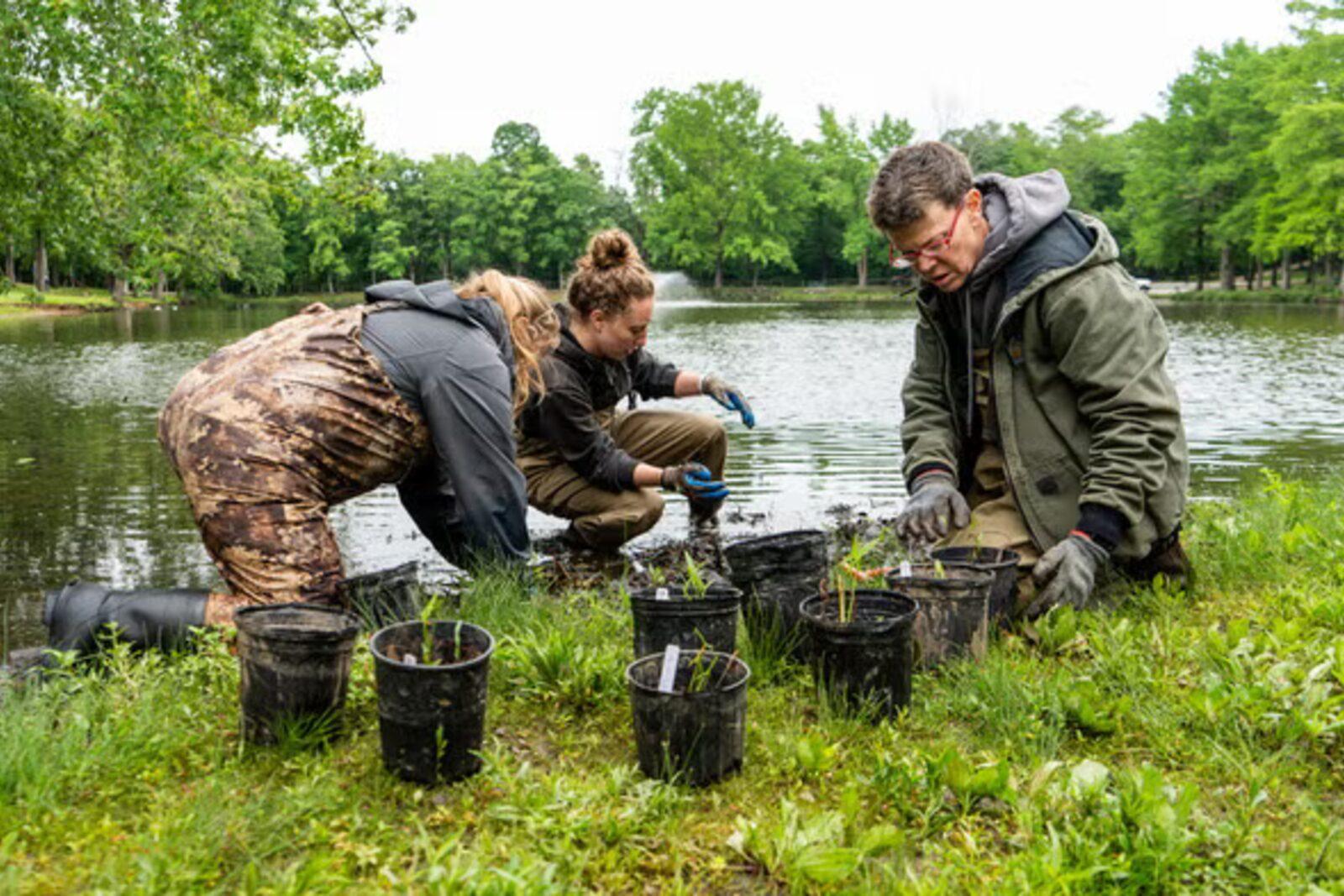 Build a Farm Pond