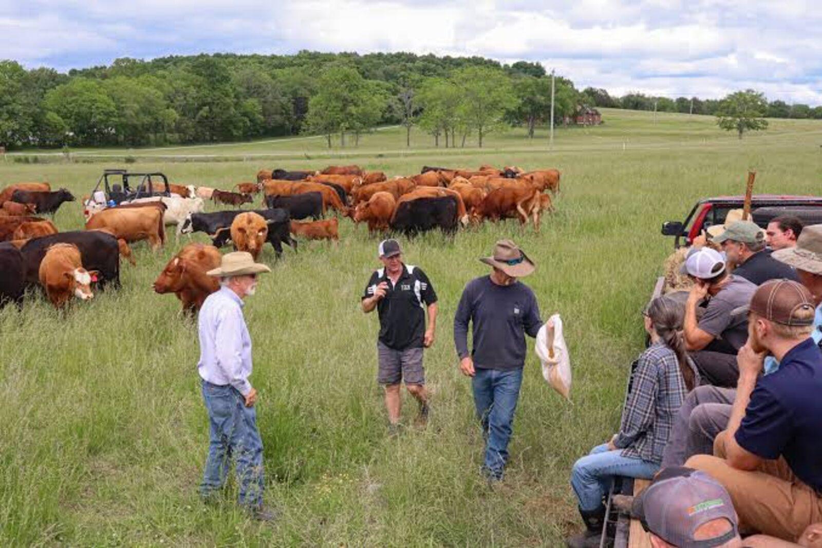 Rotational Grazing & Silvopasture