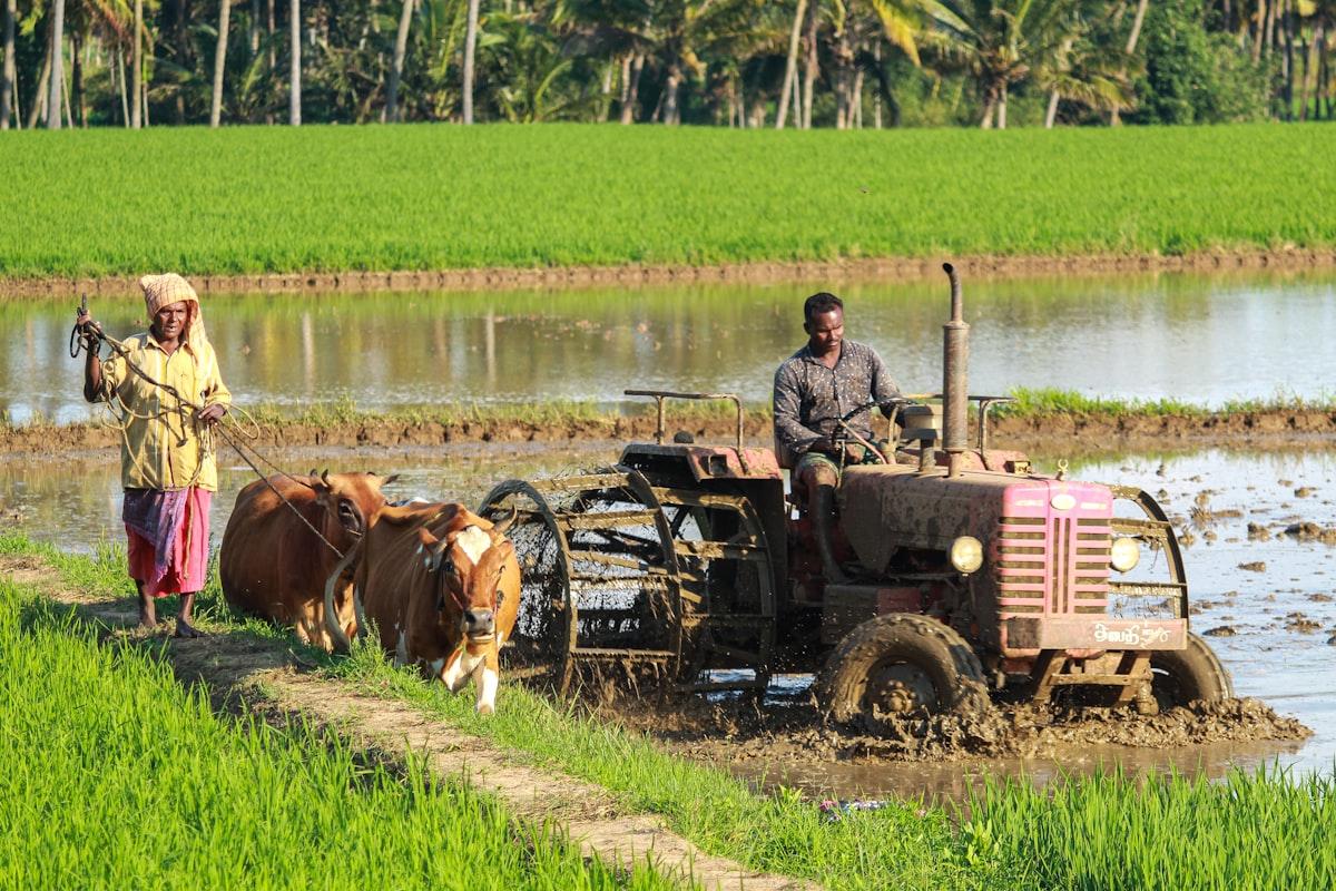 De Marke Demonstration Farm