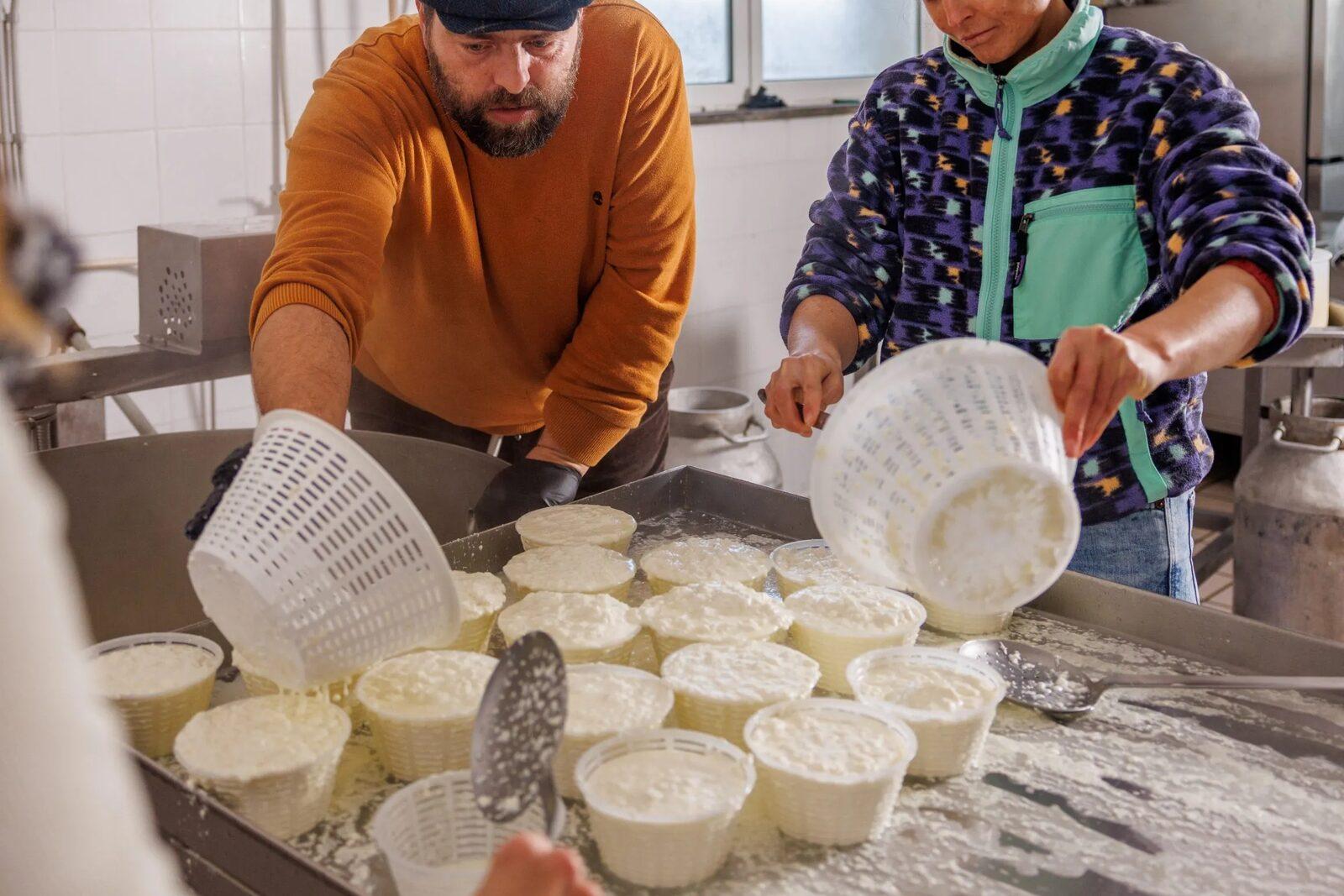 Farmhouse Cheesemaking