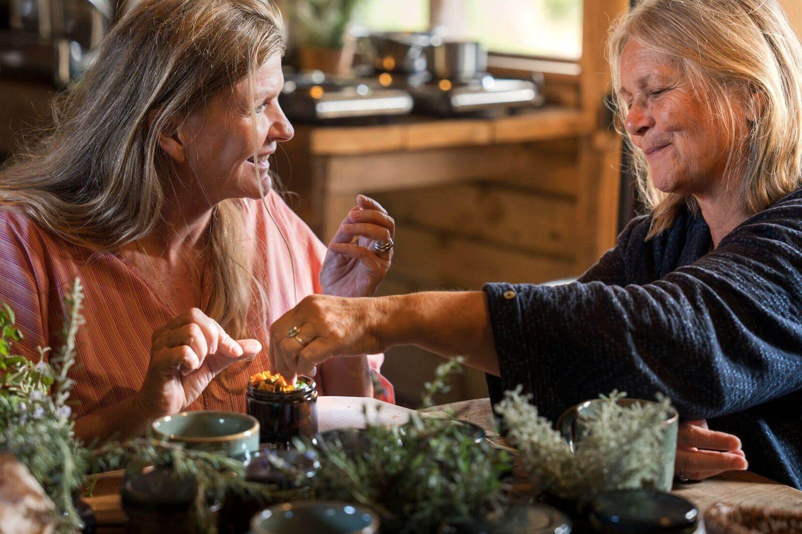 Herbal Medicine from the Garden