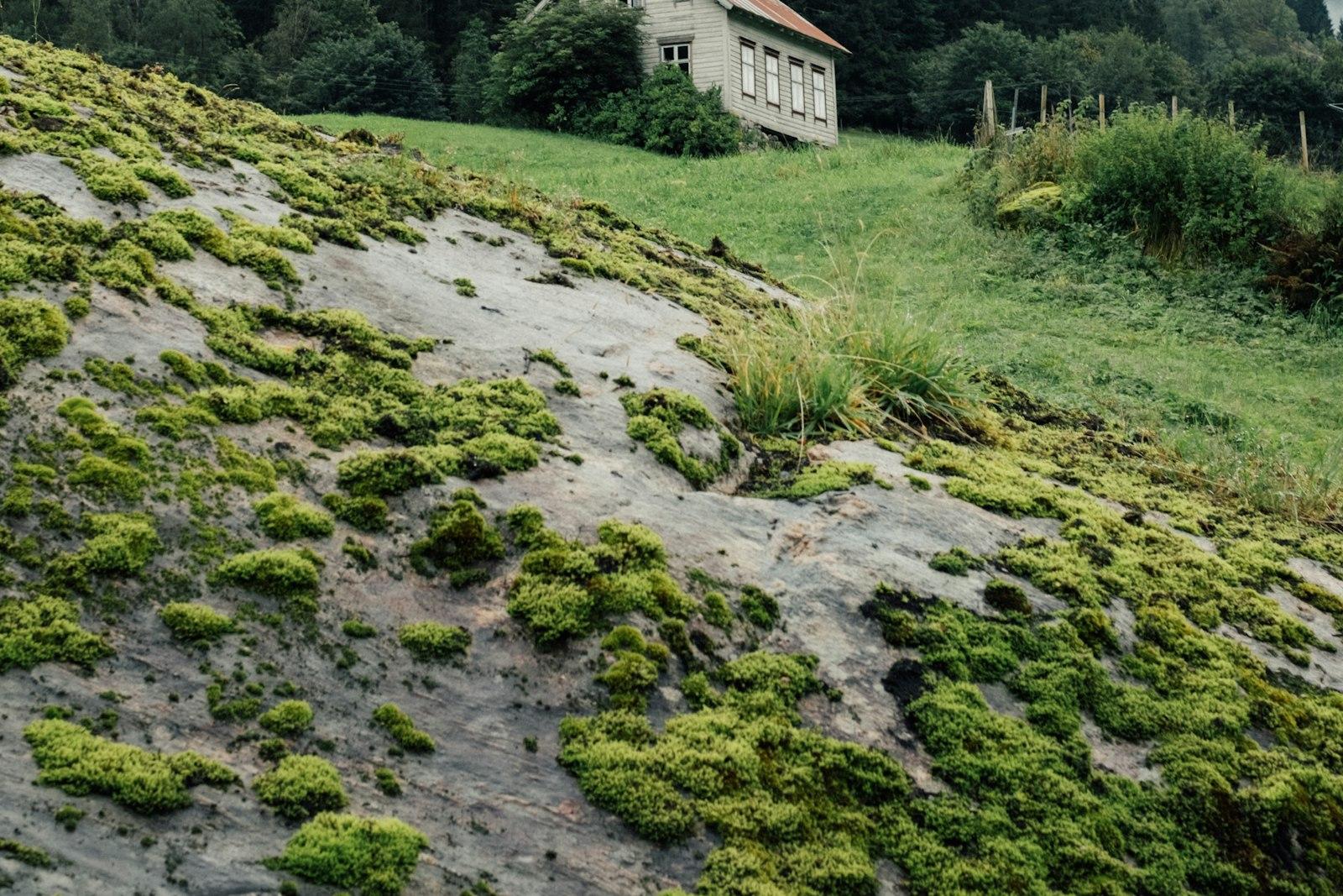 Alpenhof Tirol