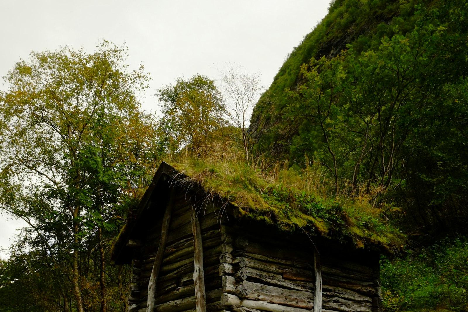 Järvitila Savo