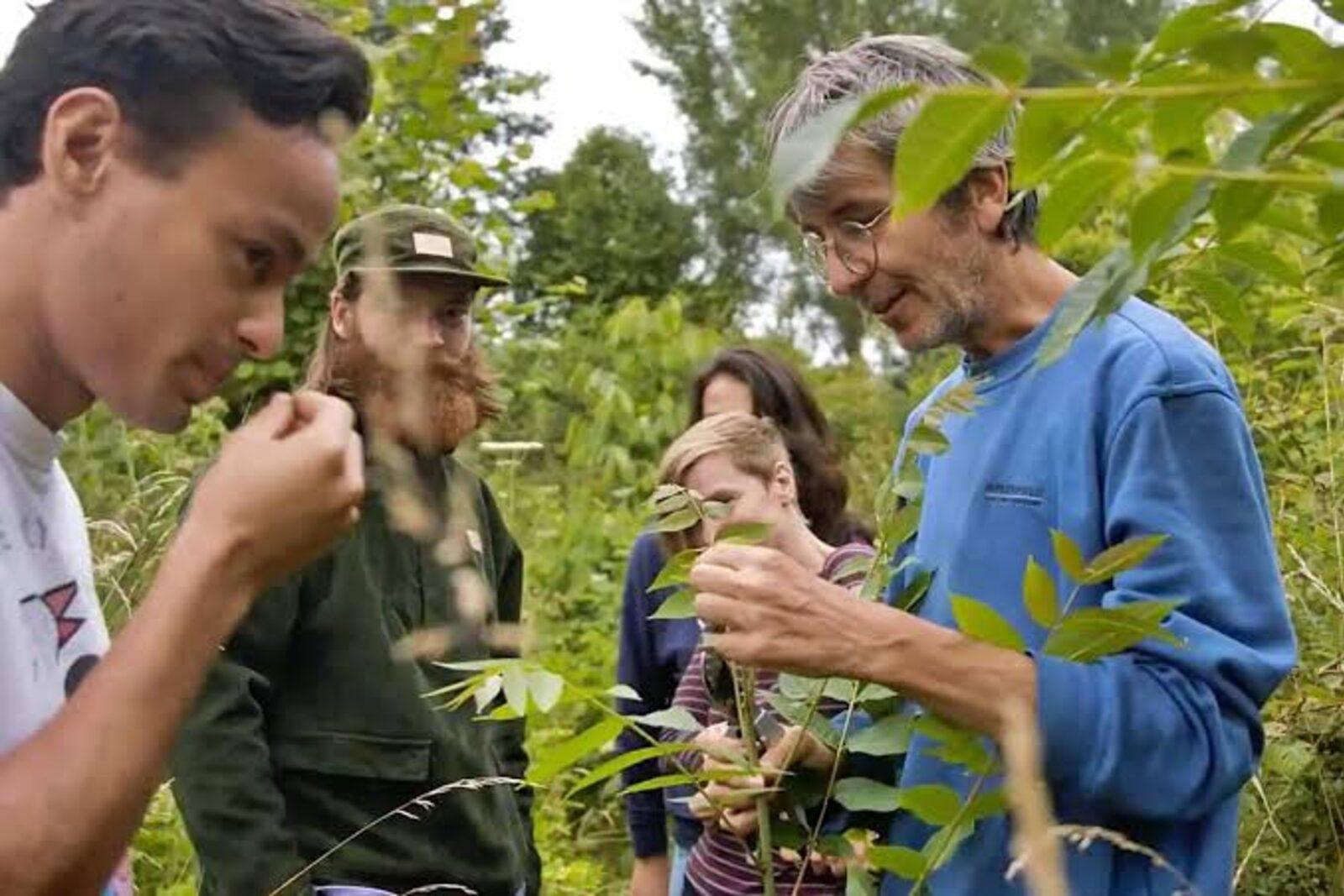 Lakeside Rewilding & Wetland Restoration