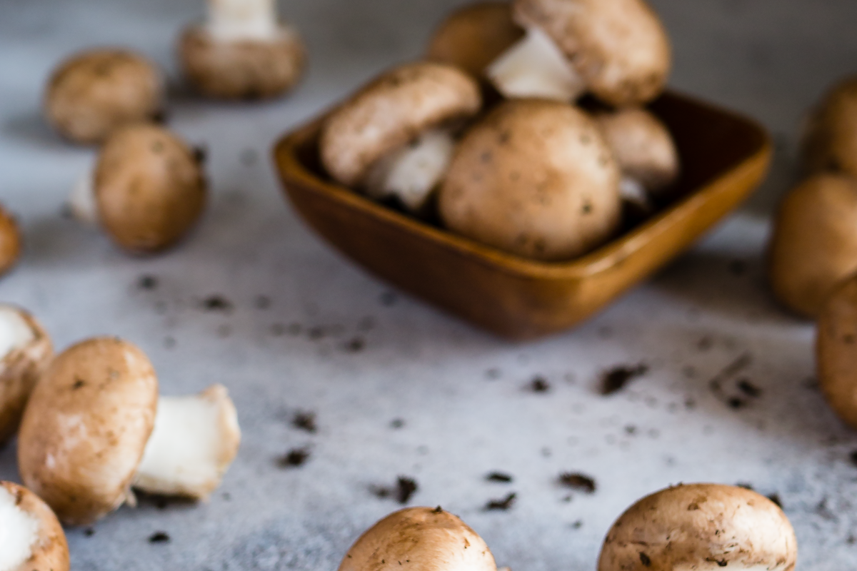 Mushroom Cultivation Intensive
