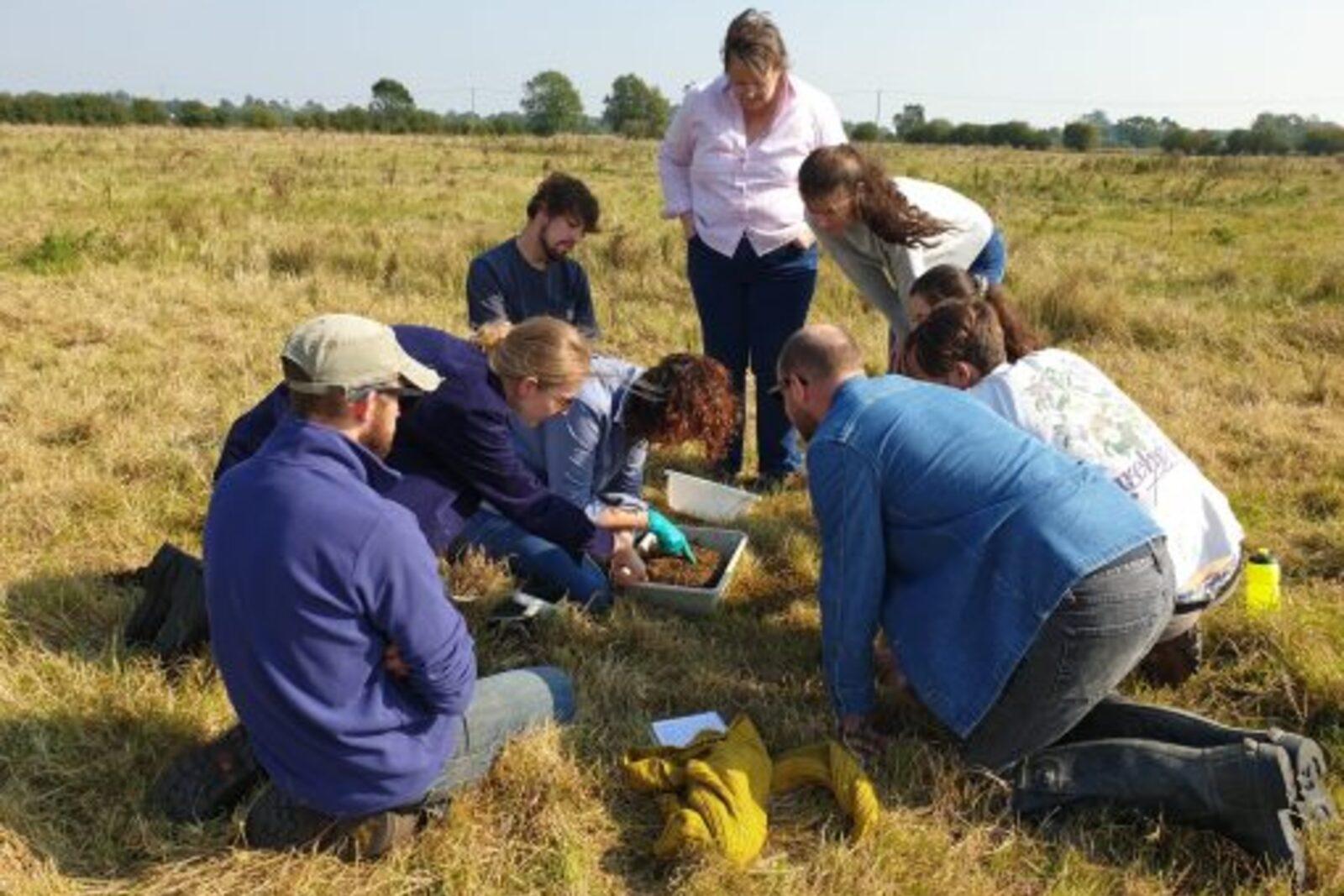 Regenerative Grazing & Pasture