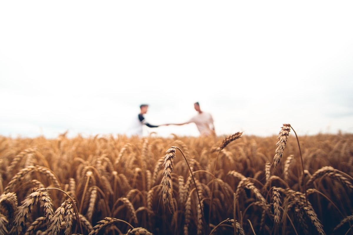 Walking through a field