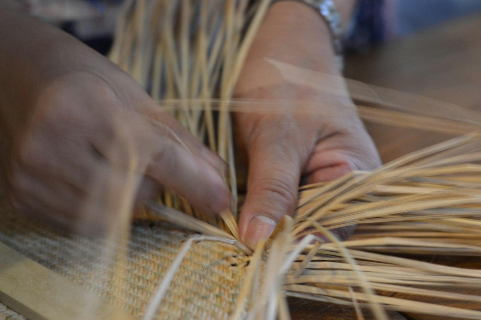 Willow Weaving & Basketry