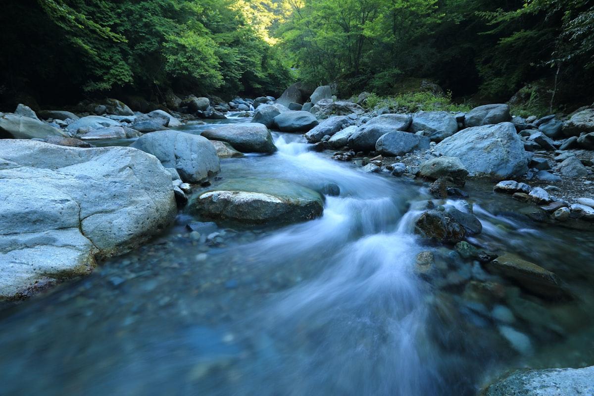 Agroforestry & Water Harvesting Intensive